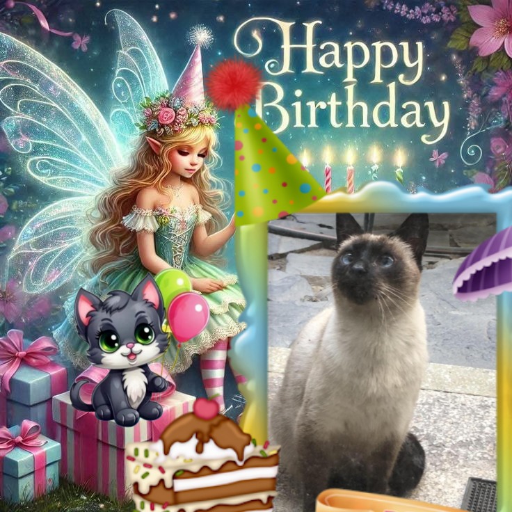 Cucho of the luzcas1106 family