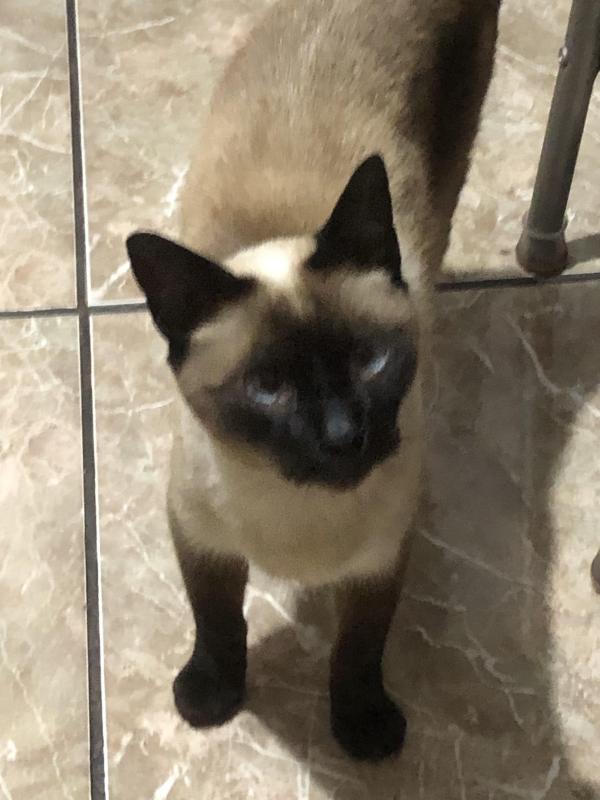 luzcas1106 uploaded   1 year/s ago