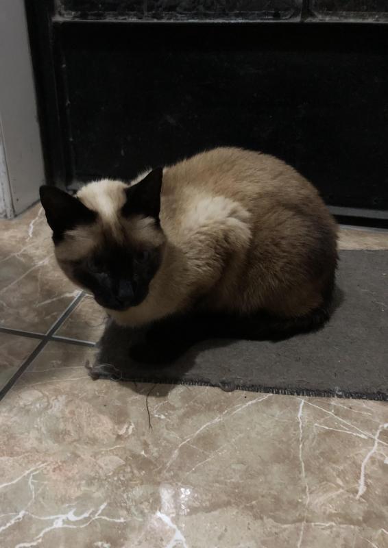 luzcas1106 uploaded   1 year/s ago