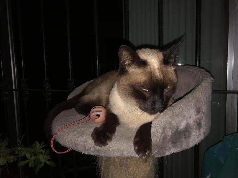 luzcas1106 uploaded   1 year/s ago