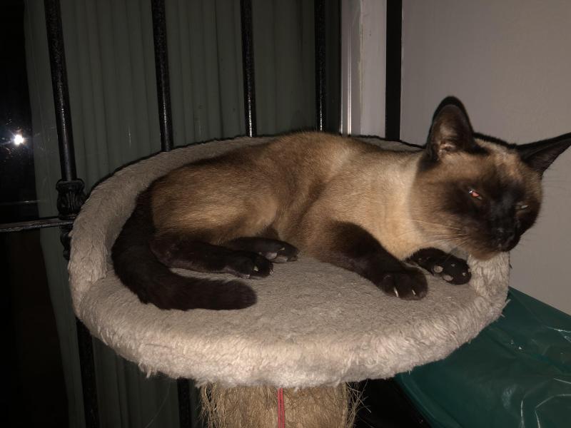 luzcas1106 uploaded   1 year/s ago