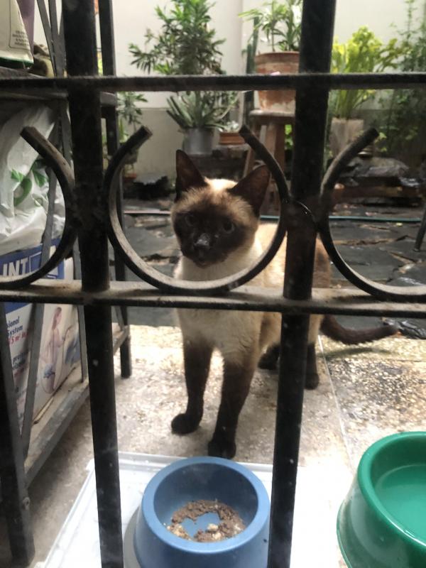 luzcas1106 uploaded   1 year/s ago