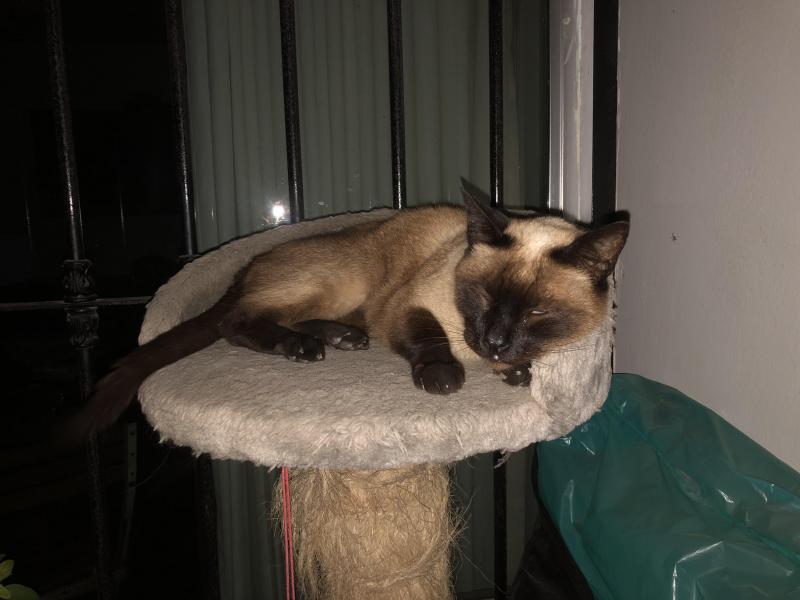 luzcas1106 uploaded   1 year/s ago