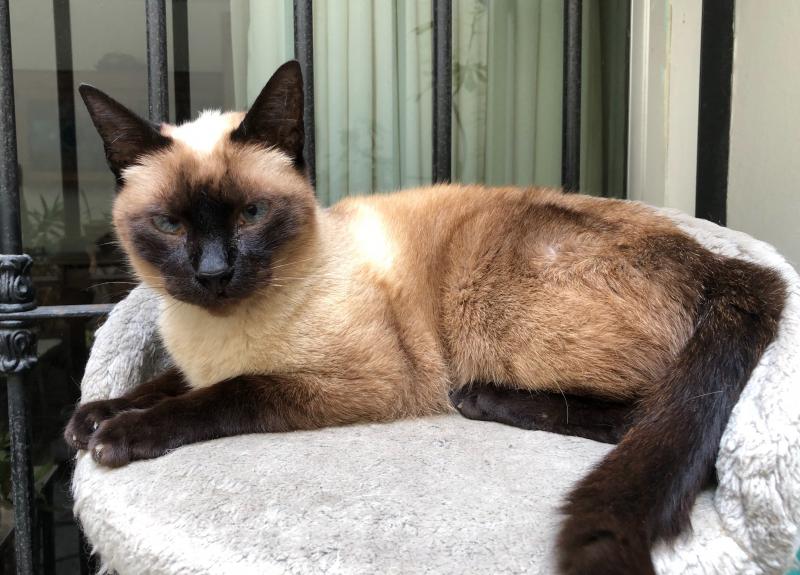 luzcas1106 uploaded   1 year/s ago