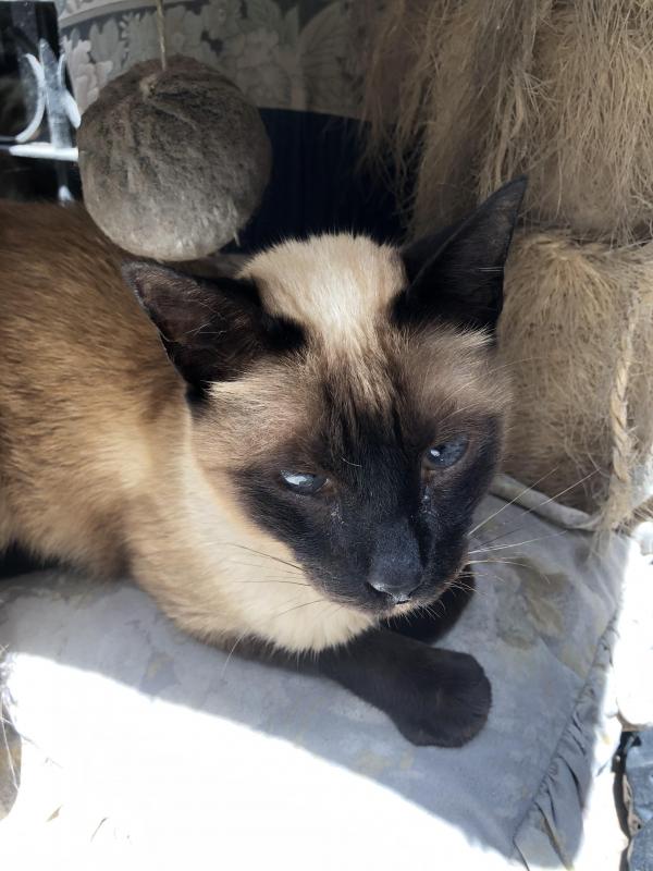 luzcas1106 uploaded   1 year/s ago