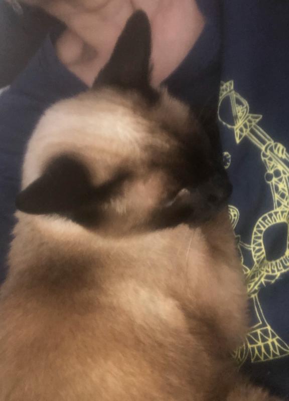 luzcas1106 uploaded   1 year/s ago