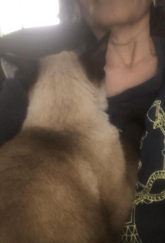 luzcas1106 uploaded   1 year/s ago