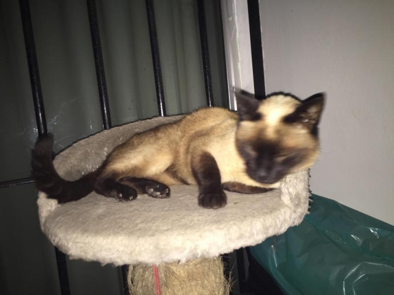 luzcas1106 uploaded   1 year/s ago