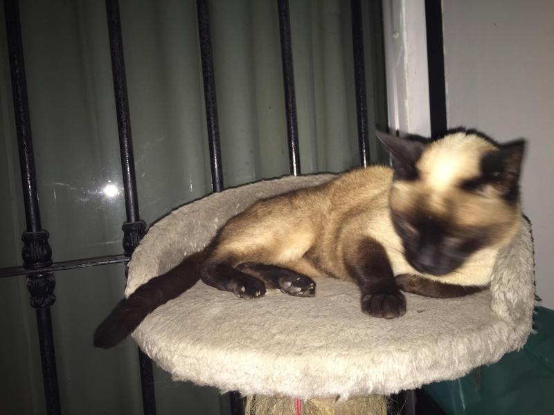 luzcas1106 uploaded   1 year/s ago