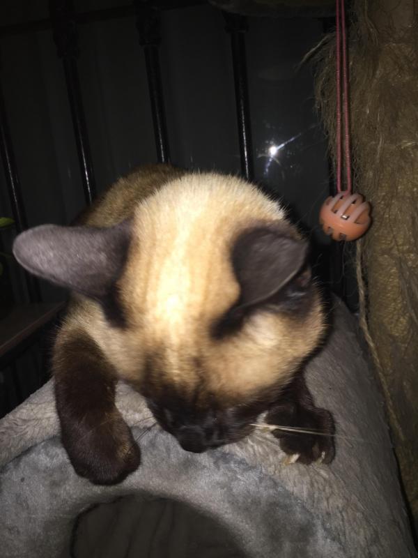 luzcas1106 uploaded   1 year/s ago