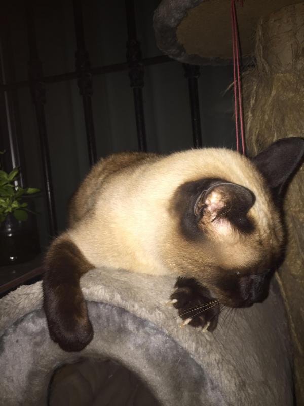 luzcas1106 uploaded   1 year/s ago