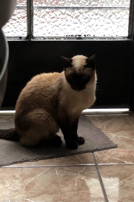 luzcas1106 uploaded   1 year/s ago