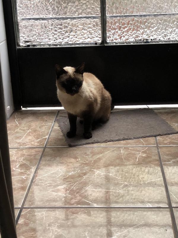 luzcas1106 uploaded   1 year/s ago