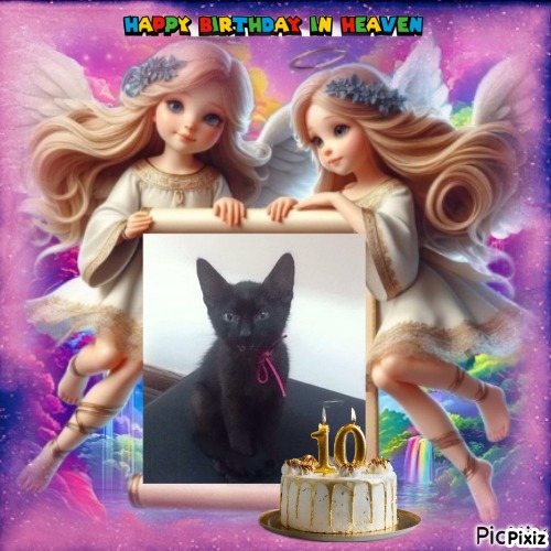 Lavanda of the luzcas1106 family