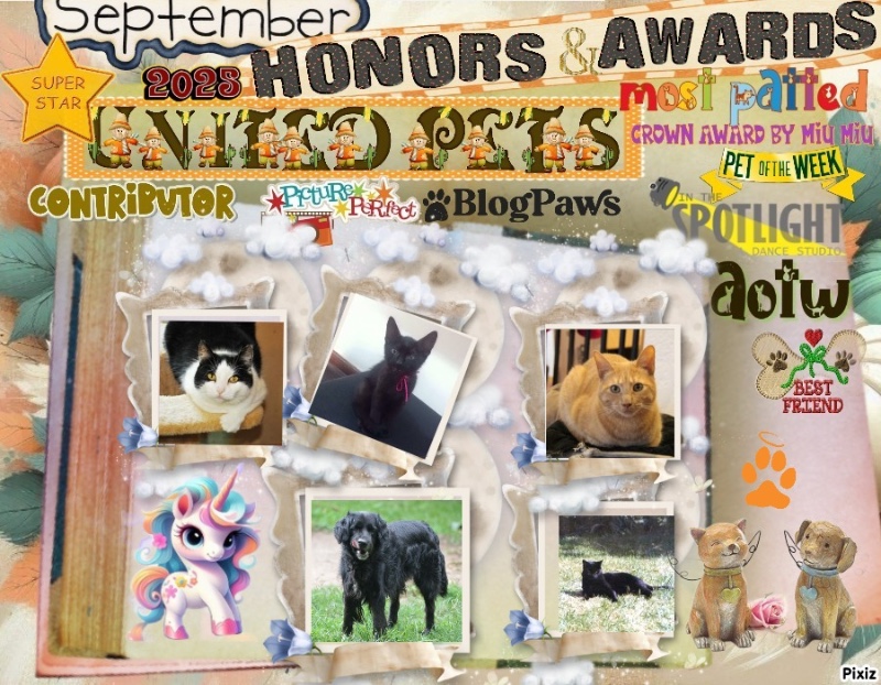 Lavanda of the luzcas1106 family