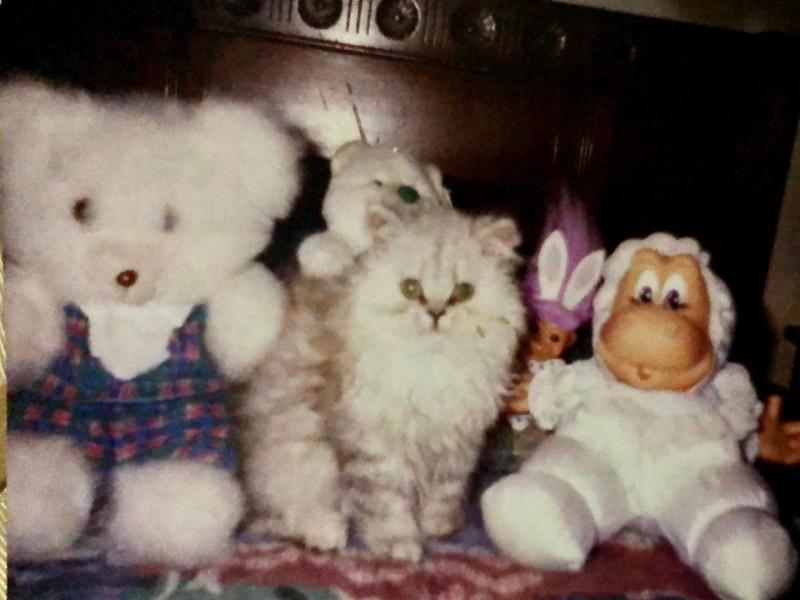 luzcas1106 uploaded   156  day/s  ago