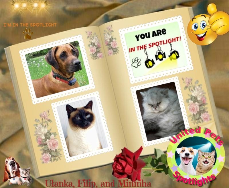 Mininha of the luzcas1106 family