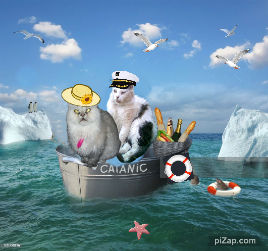 luzcas1106 uploaded   4  day/s  ago