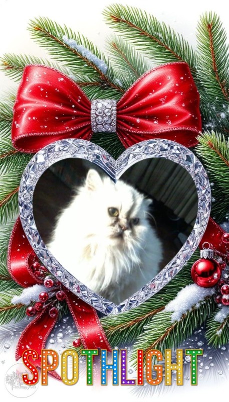 Mininha of the luzcas1106 family