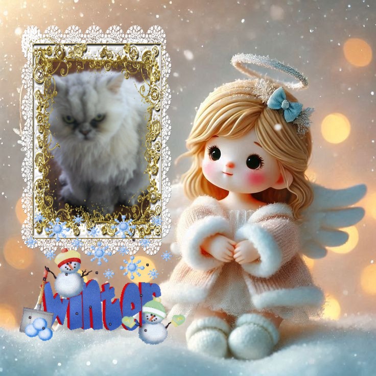 Mininha of the luzcas1106 family