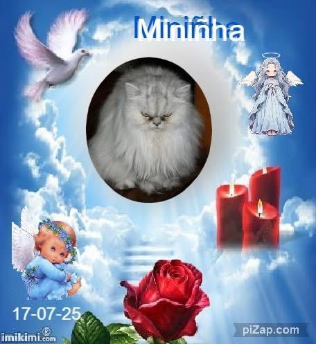 Mininha of the luzcas1106 family