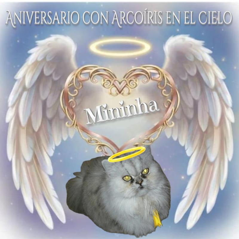 Mininha of the luzcas1106 family