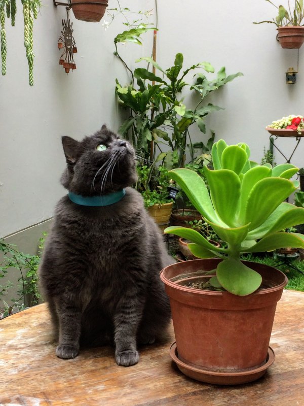 luzcas1106 uploaded   5 year/s ago