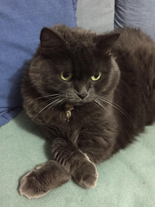 luzcas1106 uploaded   4 year/s ago