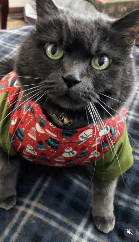 luzcas1106 uploaded   131  day/s  ago