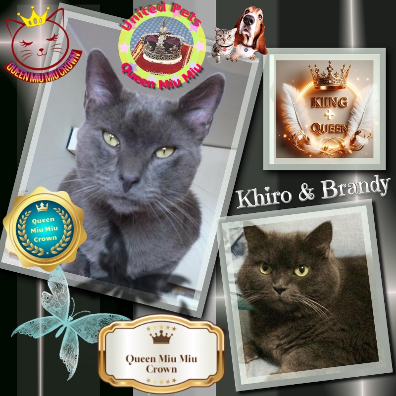 Brandy of the luzcas1106 family