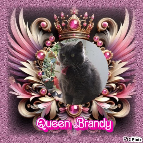 Brandy of the luzcas1106 family