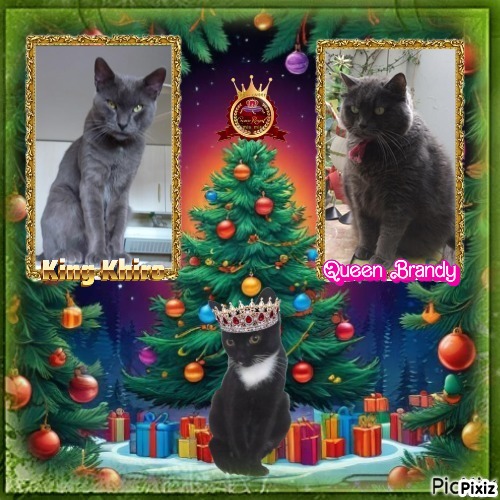 Brandy of the luzcas1106 family