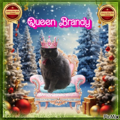 Brandy of the luzcas1106 family