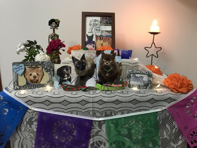 luzcas1106 uploaded   178  day/s  ago