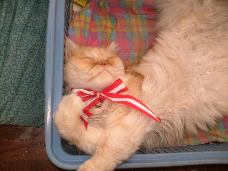 luzcas1106 uploaded   10 year/s ago