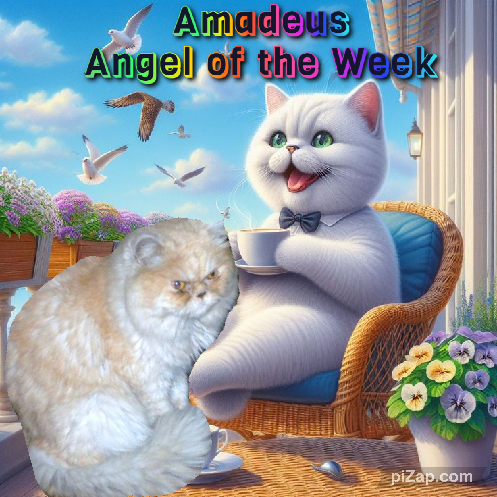 Amadeus of the luzcas1106 family