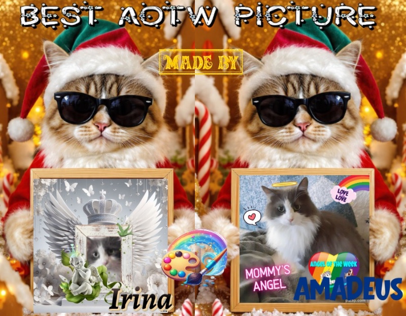 Amadeus of the luzcas1106 family