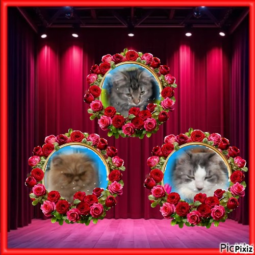 luzcas1106 uploaded   35  day/s  ago