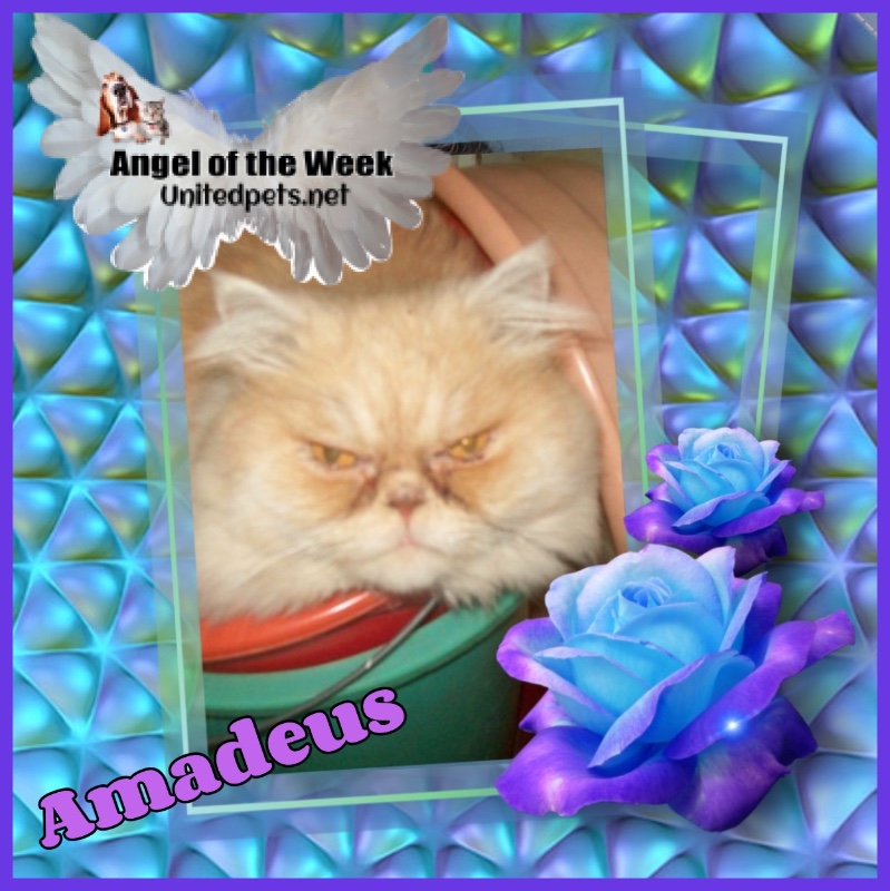 luzcas1106 uploaded   22 hour/s ago