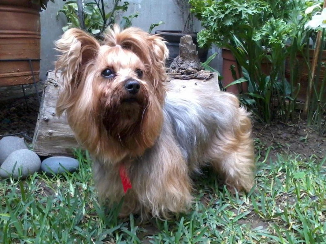 luzcas1106 uploaded   9 year/s ago