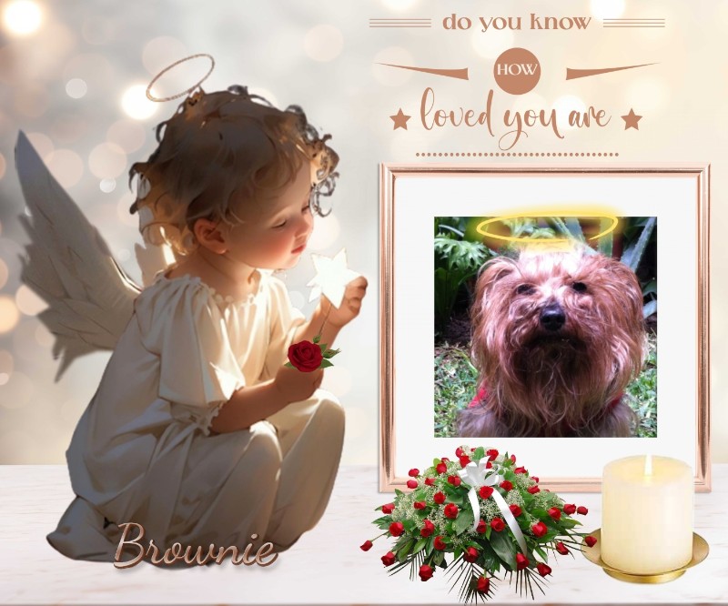 luzcas1106 uploaded   90  day/s  ago