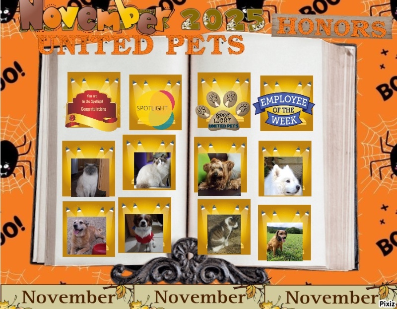 Brownie of the luzcas1106 family