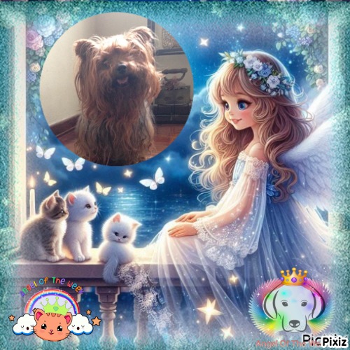 Brownie of the luzcas1106 family