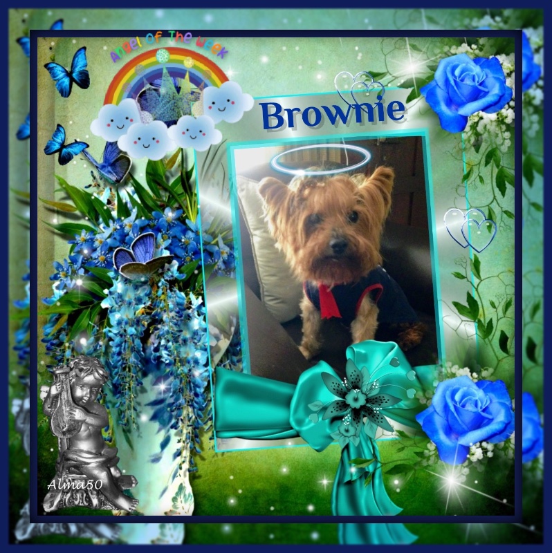 luzcas1106 uploaded   86  day/s  ago