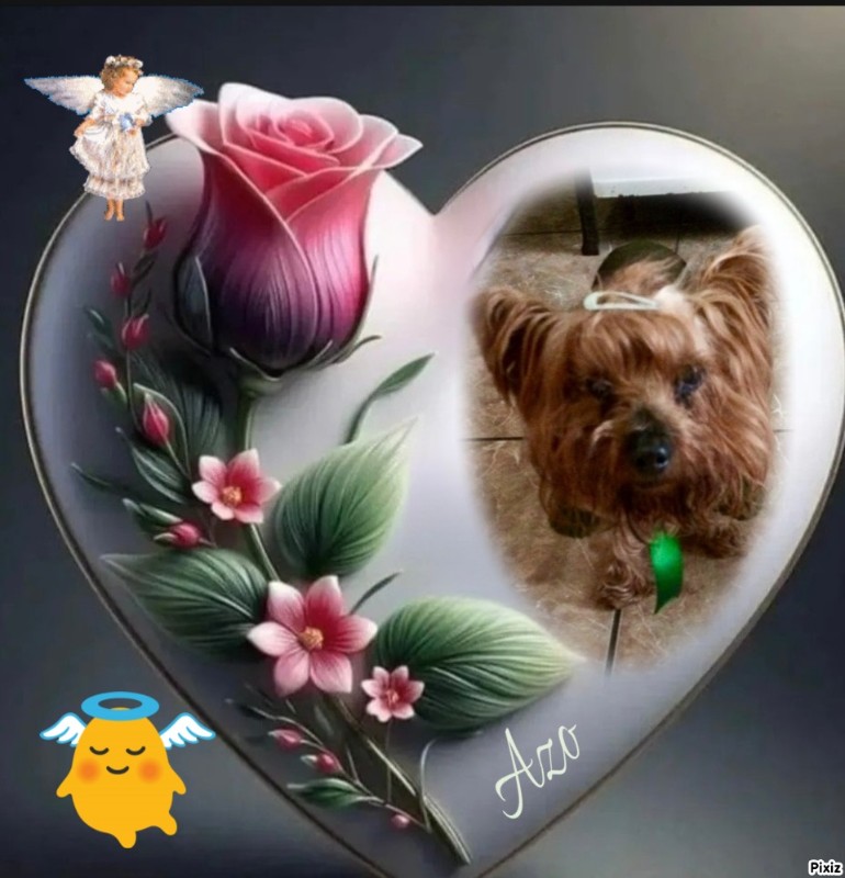 luzcas1106 uploaded   90  day/s  ago