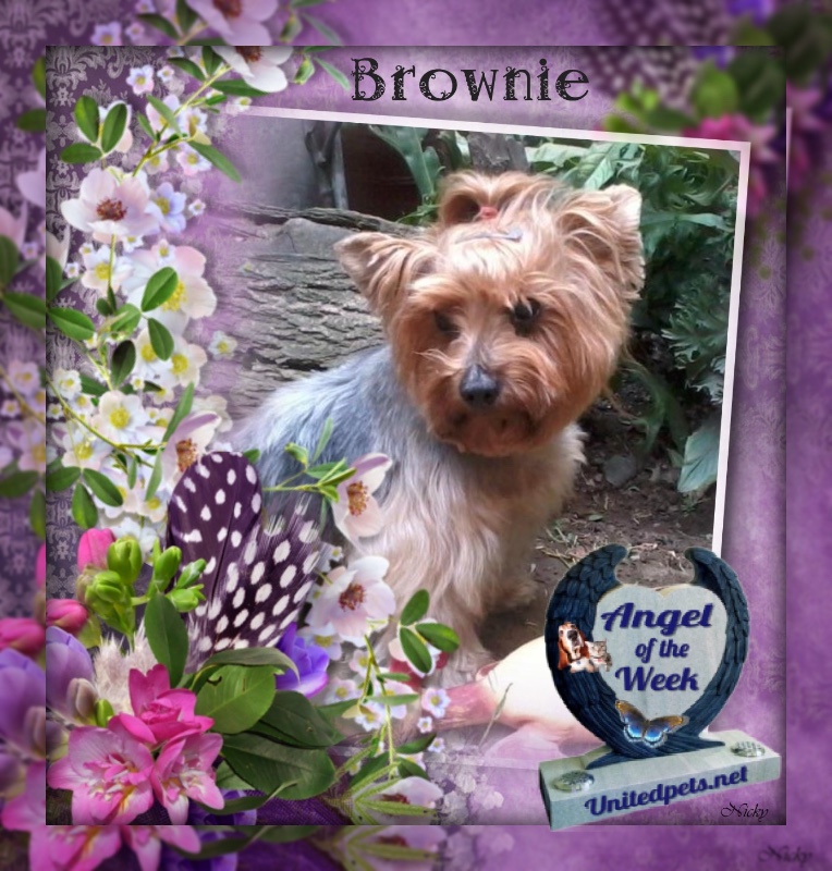 luzcas1106 uploaded   86  day/s  ago