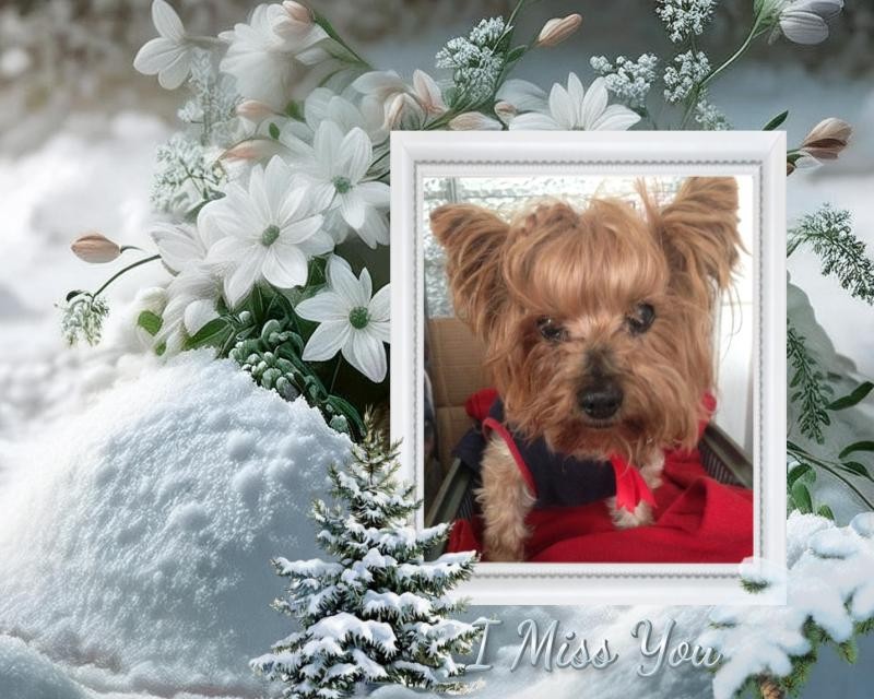 luzcas1106 uploaded   85  day/s  ago