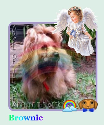 luzcas1106 uploaded   92  day/s  ago