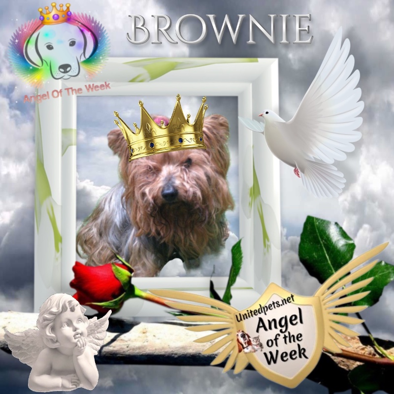 luzcas1106 uploaded   86  day/s  ago