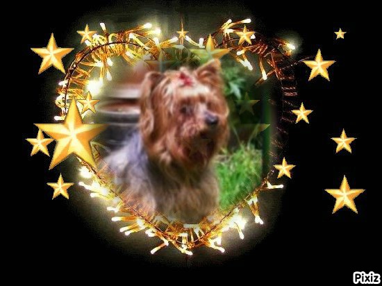 luzcas1106 uploaded   90  day/s  ago